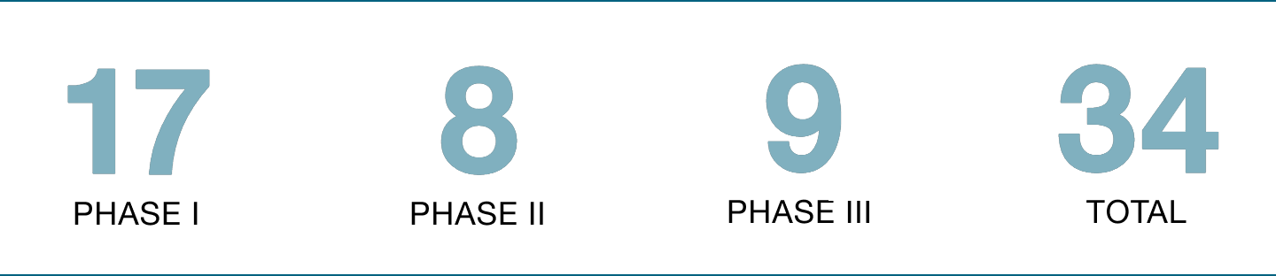 Uebersichtsgrafik-der-Phasen-08-02