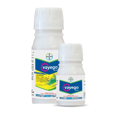 Vayego_id