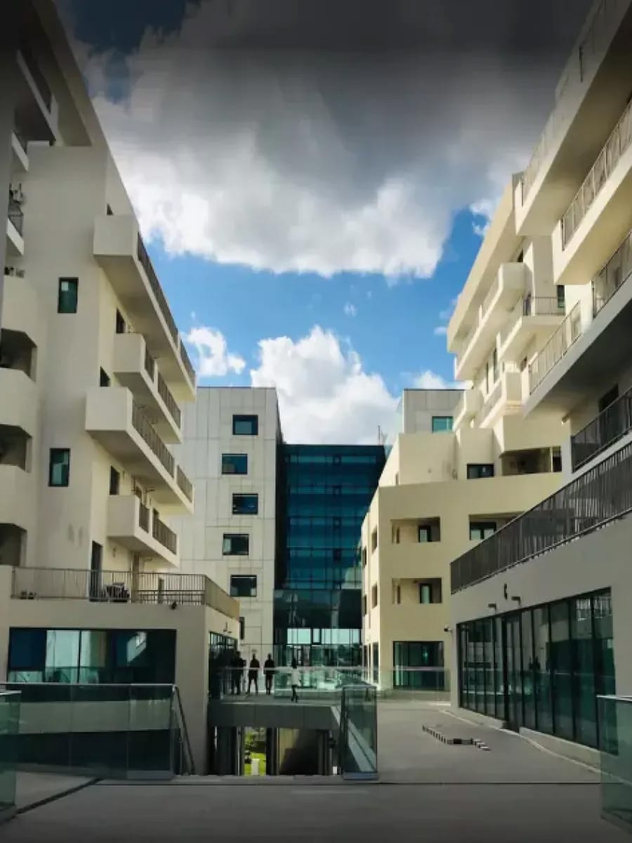 algiers-office.jpg 