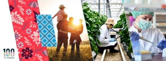 bayer mexico