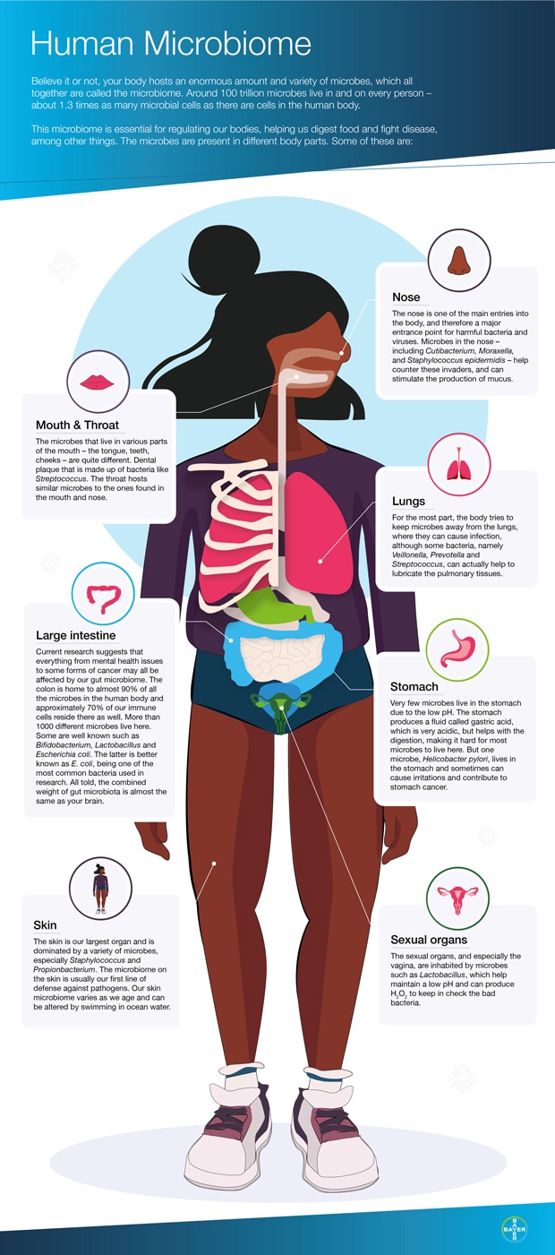 What is the human microbiome? Infographic with an overview of which parts of the body contain the microbiome.