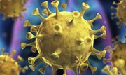 coronavirus_180_3.jpg