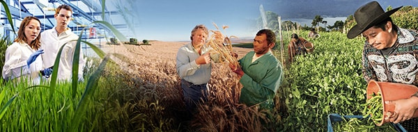 crop-science-600.jpg 