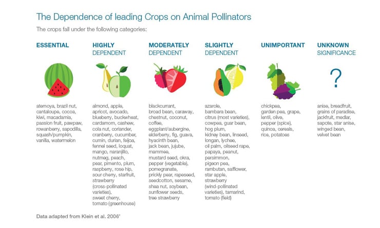 cs-website-graphic_crops-and-pollinators-740.jpg