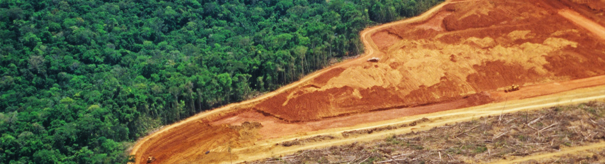 Deforestation