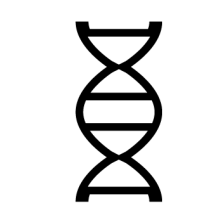 dna-strand.png