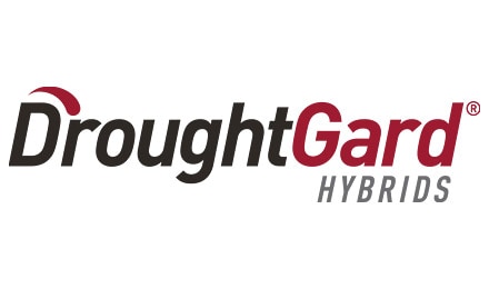 https://www.channel.com/en-us/products/trait-technology/droughtgard-hybrids.html
