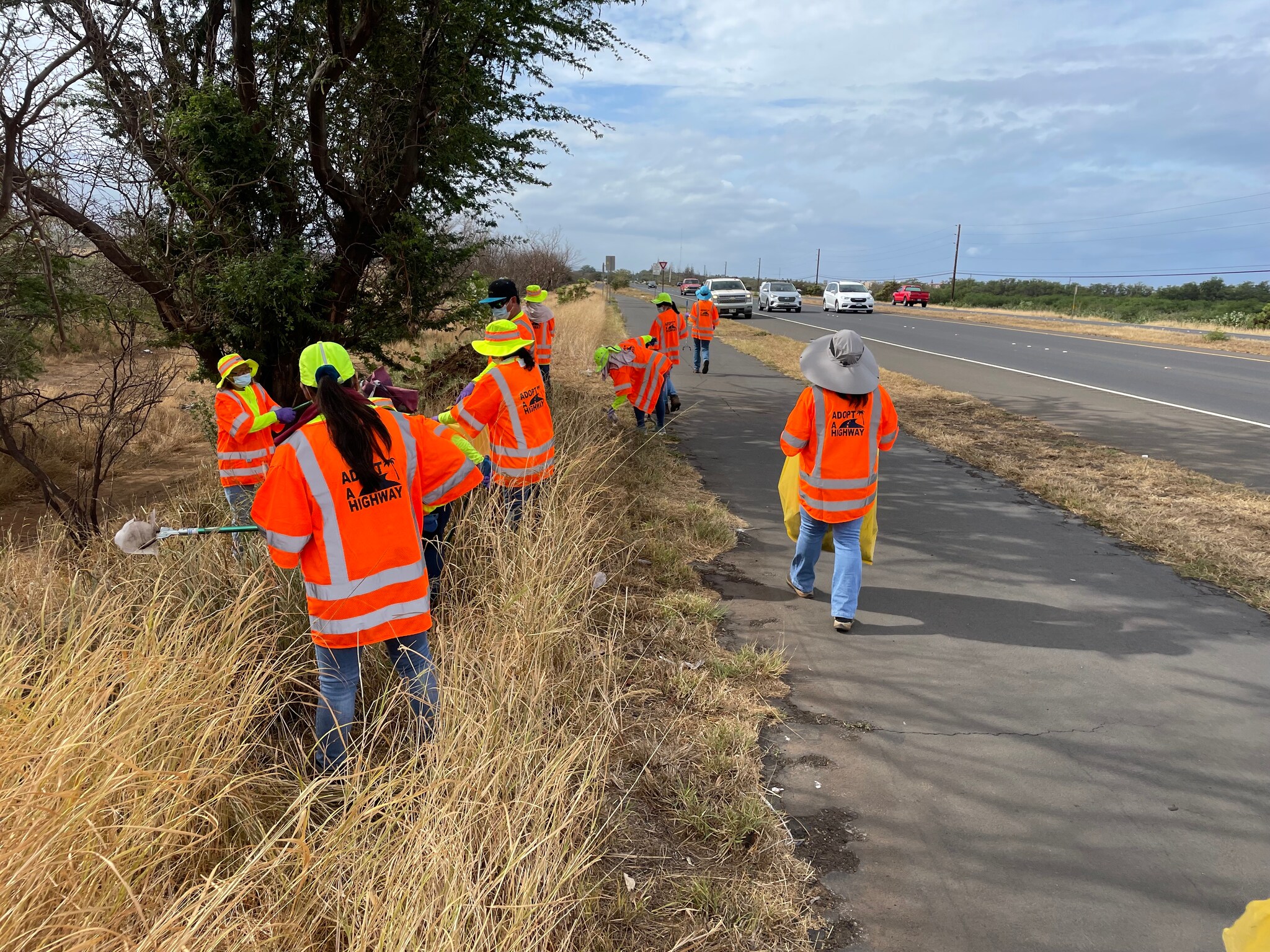 Highway Cleanup