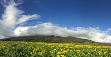 farm