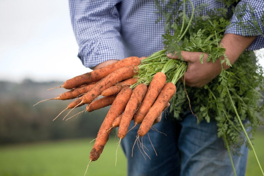 farmer with carrots