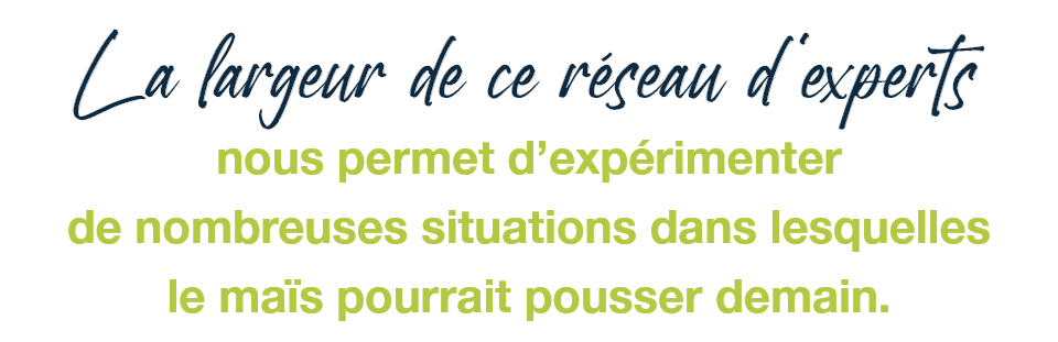 citation