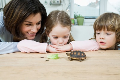 mother-children-tortoise