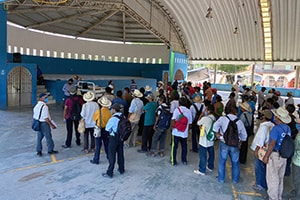 pequenosagircultores300x200.jpg 