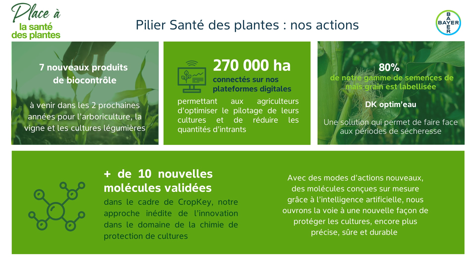 Nos actions santé des plantes