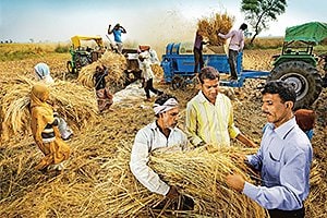 quality_check_in_the_field