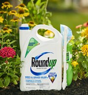 roundup_bottle
