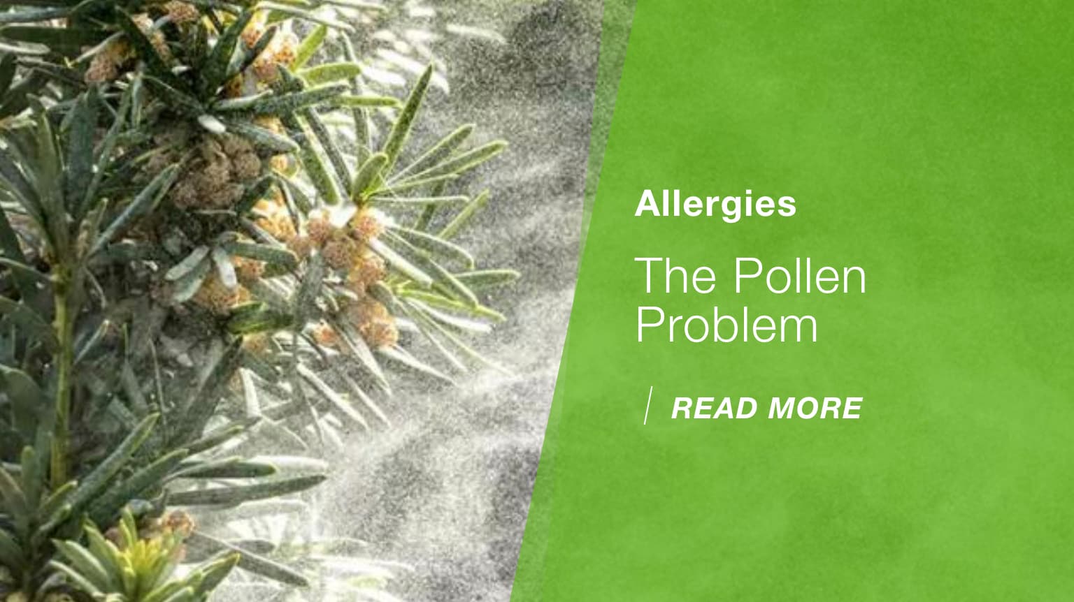 the pollen problem
