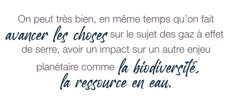 Verbatim 2