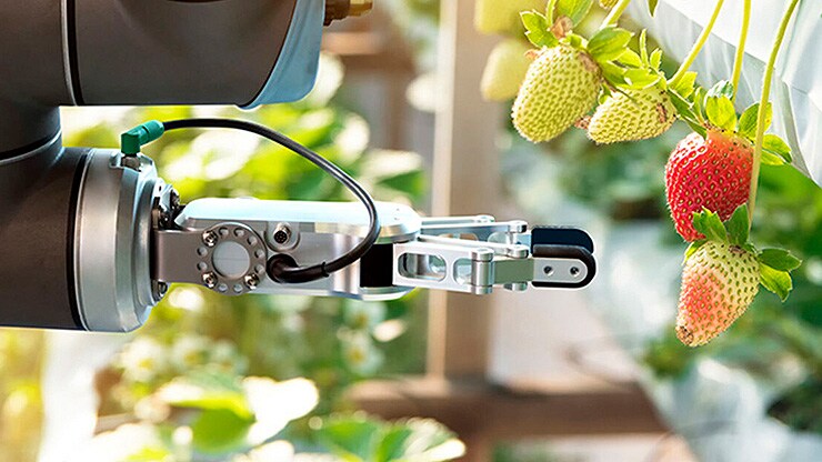 vertical_farming_galerie_03.jpg