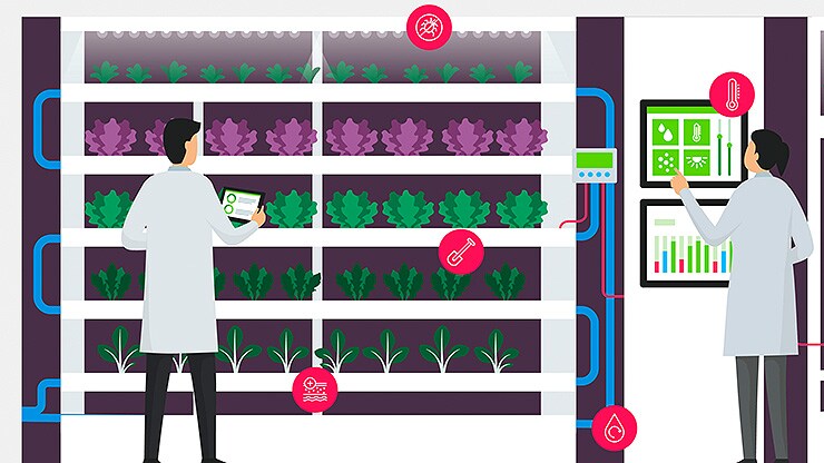 vertical_farming_galerie_04.jpg 
