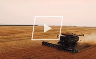 video-crop-protection