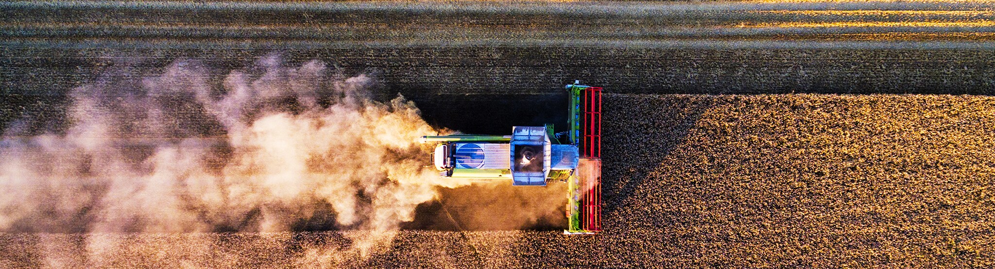 Wheat harvest
