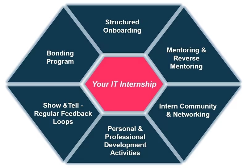 your-bayer-it-internship